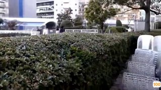 震动棒和指交技巧